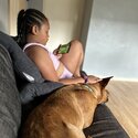 19m old German shepherd cross for rehoming -3