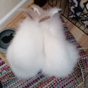 White Fluffy Rabbits-1